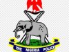 The Nigerian Police, Interpol, and Citizen Security