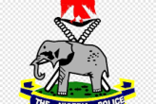 The Nigerian Police, Interpol, and Citizen Security