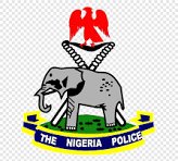 The Nigerian Police, Interpol, and Citizen Security